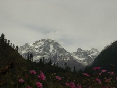 Es wird Frühling in Parvati valley